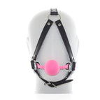 Pink(ball gag)