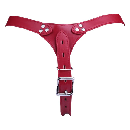 LEZEE Male Chastity Belt Underwear Harness Strap For Penis Cage Auxiliary Lock Belts Penis Bondage Band Underwear Sex Toys