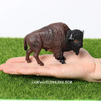 American bison