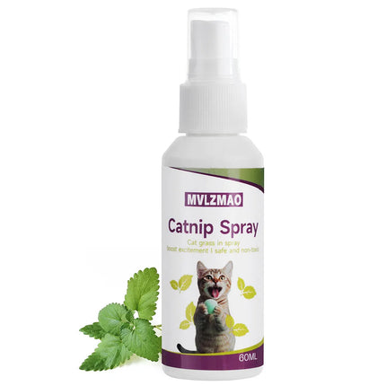 Organic 100% Natural High Quality Catnip Cattle Grass Mint Taste Funny Cat Toy New Cat Toy Interactive Cat Toys Pet Supplies