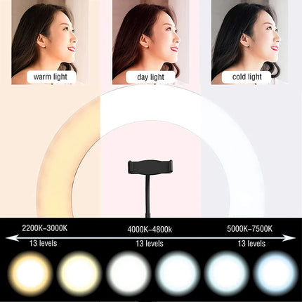 6/10/12 inch LED Selfie Ring Light Dimmable Photography Fill Lamp With Mini Tripod For Phone Live Video Photo Studio Ringlight