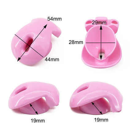 Male Chastity Cage with 4 Size Rings Positive/Negative Chastity Device Sissy Cb Lock Penis Bondage SM Chastity Lock Sex Toys Men