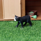 Mini Cat -32