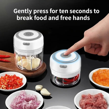 Electric Mini Garlic Chopper 100ML/250ML Food Chopper Garlic Mincer USB  Portable Small Food Processor for Vegetables