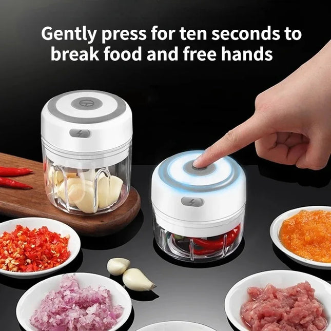 Electric Mini Garlic Chopper 100ML/250ML Food Chopper Garlic Mincer USB Portable Small Food Processor for Vegetables