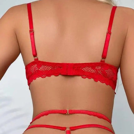 Sexy Lingerie Woman Lace Transparent Underwear Fairy Embroidery Brief Sets Delicate Bra Kit Push Up Breves Sets Thin Erotic Bras