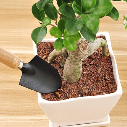 3Pcs/Set Mini Garden Tool Set Wooden Handle Shovel Rake Shovel Shovel Rake Spade for Garden Plants Flower Pot Cactus Vegetables