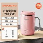 Filter 316 powder