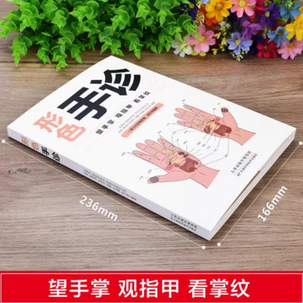 Face, Hand, and Tongue Consultations, Zero Foundation Self-study of Practical Chinese Medicine Books for Families