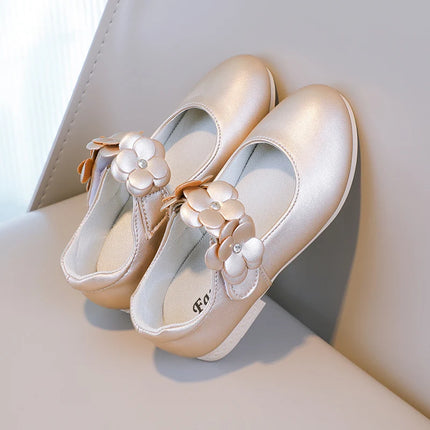 Autumn Girl's Mary Janes Appliques Low Heel Beautiful Kids Princess Shoe Three Colors Pointed Toe Breathable Children Shoe 26-36