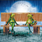 107 Frogs