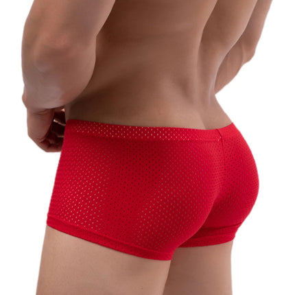 Men's Panties Male Underpants Man Sexy Mesh Shorts Boxers Underwear Breathable Ropa Interior Hombre Boxershorts Mens Soft Boxers