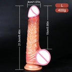 B Foreskin L