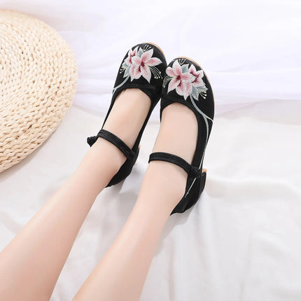 Shoes for Women Embroidery Ethnic Style Traditional Old Beijing Streetwear Dance Vintage Cheongsam Chinese Style Hanfu Qi Pao
