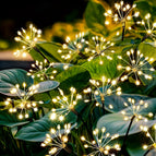 60led