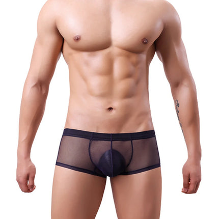 Men Transparent Boxers See Through Male Underpants Sexy Mid-Waist Panties Lingerie Intimates Summer Breathable Underwear