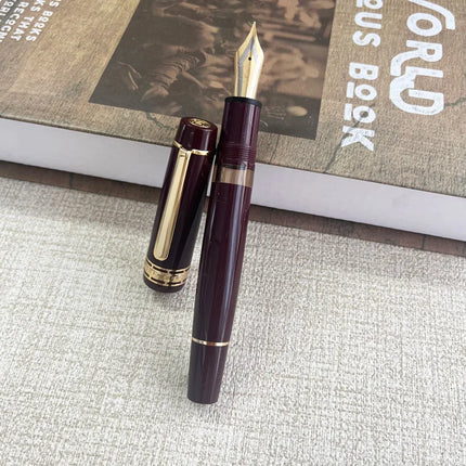 Wing Sung 630 Brief Fountain Pen Iraurita Nib 0.5~0.7mm Nib Piston Resin Gold Clip Pen Stationery Business Gifts Writing