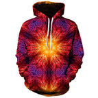 Hoodie-HWH54862 / 160 (13T-14T)