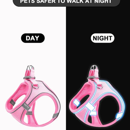 Soft mesh dog chest strap, suitable for training walks, adjustable dog vest, suitable for small and medium-sized dogs and cats