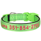 Green / XL