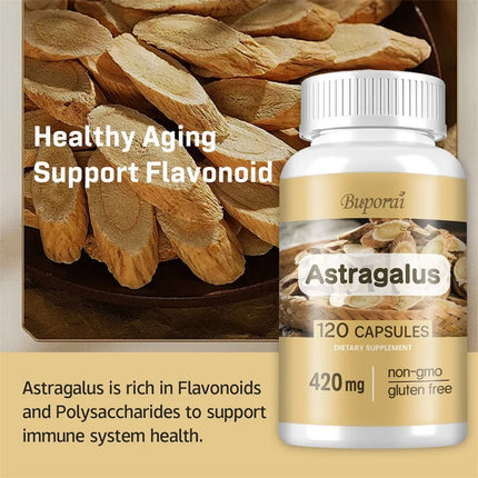 Astragalus - Supports Digestive Health, Promotes Overall Well-being and Relieves Stress Supplement