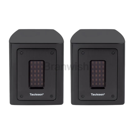 Brand New Fever Independent Ribbon Super Tweeter 5Ohm Passive Speaker External Tweeter Sound Box Extension 30W