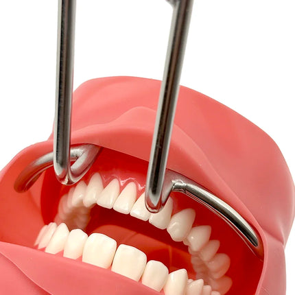 Dental Mouth Expand Lip Double-Headed Retractor Orthodontic Surgical Mouth Opener Mouth Retractor Dentist Tools