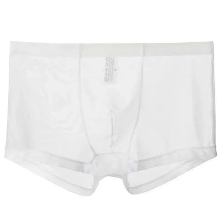 Men's Underwear Transparent Boxers Bulge Ice Silk See Through Underpants Sexy Briefs Low Waist Panties Lingerie Intimates
