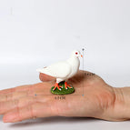 Pigeon-2