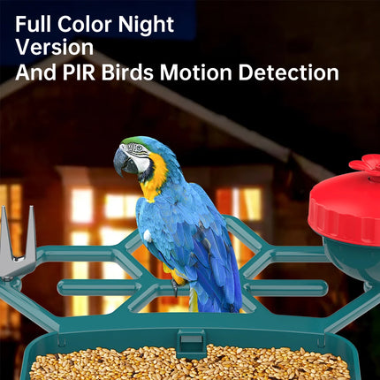 Jooan 4K Solar Bird Feed Camera 2.4G WiFi Outdoor IP Camera Feeder Waterproof HD Bird Video Night Vision Identify Birds Species