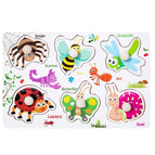 insects