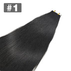 1 / 20 pcs-50g / 20 INCHES|6 months