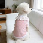 Pink / 5XL