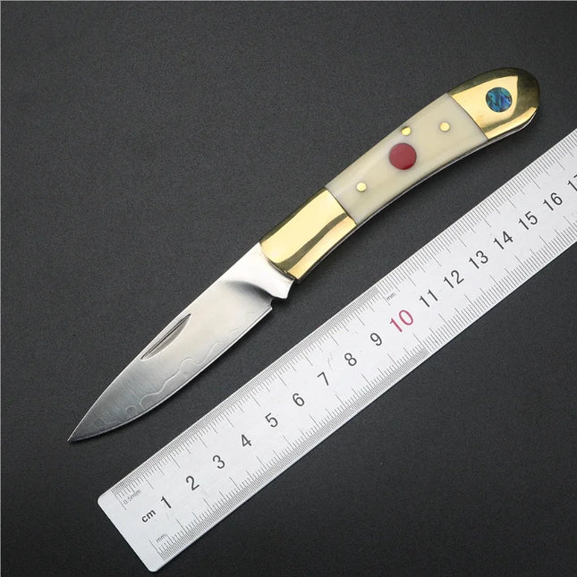 Folding knife with brass beef bone handle, 9cr18 stainless steel fruit knife. Exquisite pocket knife, perfect gift