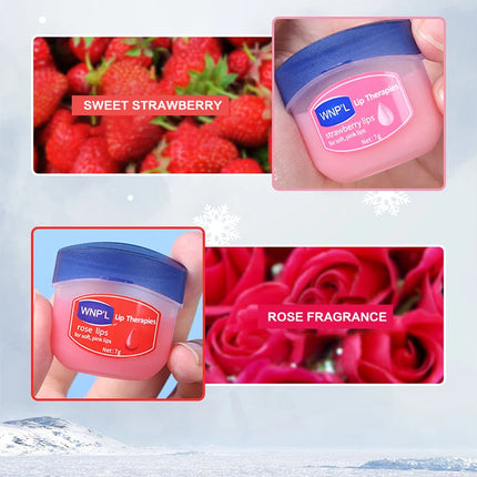 New 4/6/8pcs Moisturizing Lip Balm Sets Lipstick Makeup Natural Plant Base Moisturizer Lip Balm Anti-Cracking Lips Skin Care