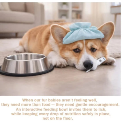Slow Feeder Dog Bowls for Liquid Treat, 【Enrichment Ball-Roll】 Bone Broth Dog Lick Bowl, 3/4 Cup Yogurt Pup Lick Toy