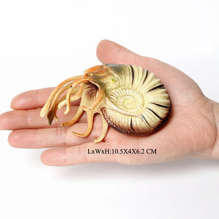 Simulation Marine Mollusc Plastic Model Figures Nautilus Ammonite Squid Octopus Figurine Sealife Animal Educational Toy For Kids