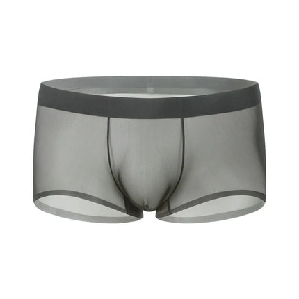 Ice Silk Transparent Boxer Shorts For Man Seamless Ultra-Thin Male Underpants Sexy Quick Dry Bulge Penis Pouch Panties Underwear