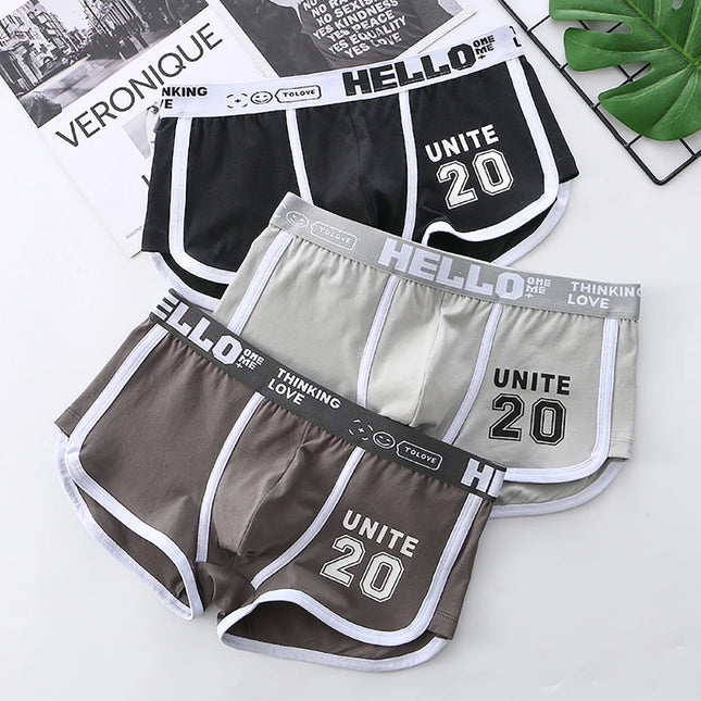 3PCS/Pack 100% Cotton Underpants Men Comfortable Big U Type Crotch Breathable Mesh Men's Panties Fashion Letter Boxers Hombre