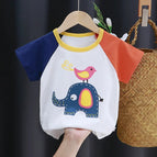 I019-Bird Elephant / 100 (2-3years)