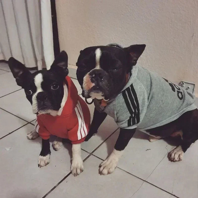 Winter Dog Clothes Adidog Sport Hoodies Sweatshirts Warm Coat Clothing for Small Medium Large Dogs Big Dogs Cat Pets Puppy Outfit
