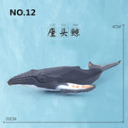 Humpback whale