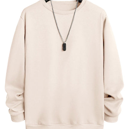 Candy Color Hoodie Loose 14 Solid Color Spring Autumn Winter Men Women Plush And Thick Versatile Top Sweatshirts Couple Pullover