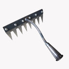 8 teeth