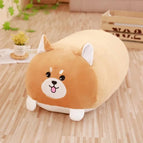 dog / 20cm