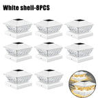 White Shell-8PCS