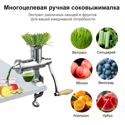 100% Hand Stainless Steel Wheatgrass Manual Juicer Auger Slow Squeezer Vegetables Fruit Citrus Juice Extractor Machine