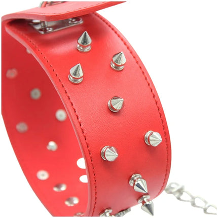 Erotic Charm Colorful Dog Hood with Slave Bondage Rivets Traction Pet Play Collar for Couple BDSM Cosplay Flirting Adult Sex Toy