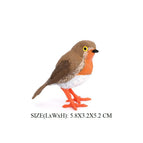 Robin -1