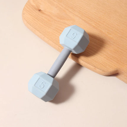 Baby Teething Toy Rattle Dumbell Infant 5kg Teether Chewing Silicone 0-2 Years